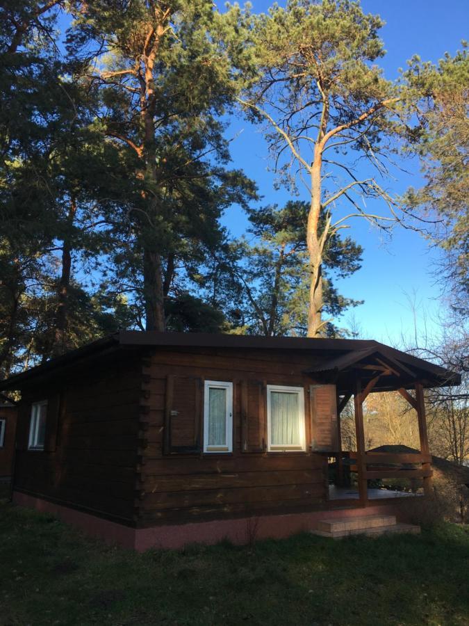 Serpelice Sosnowy Domek מראה חיצוני תמונה