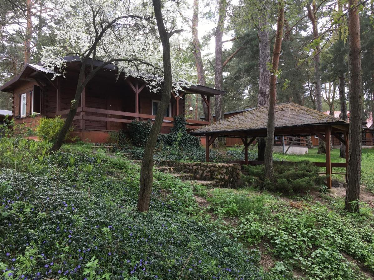 Serpelice Sosnowy Domek מראה חיצוני תמונה