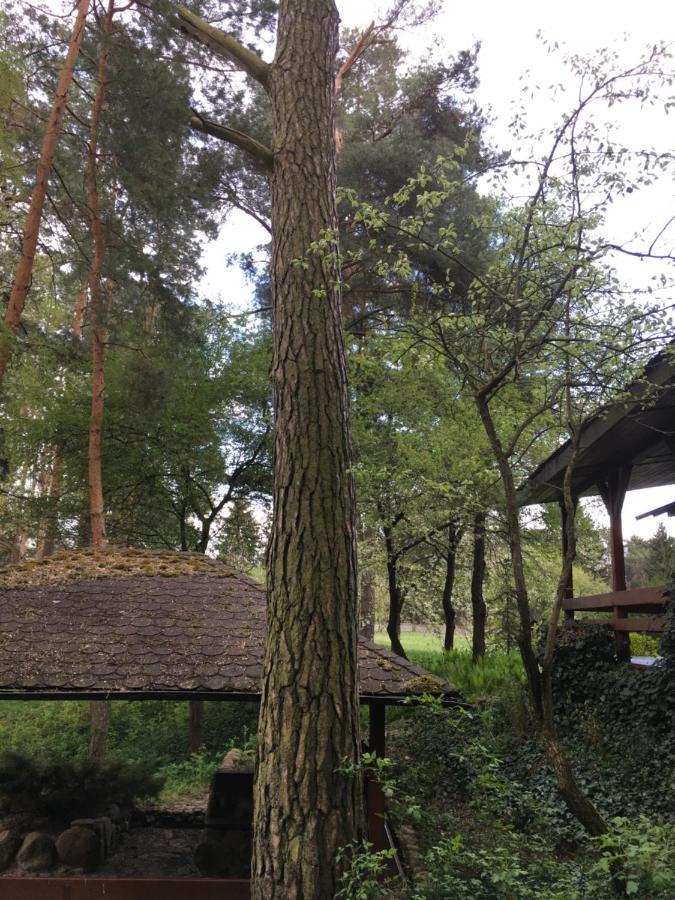 Serpelice Sosnowy Domek מראה חיצוני תמונה